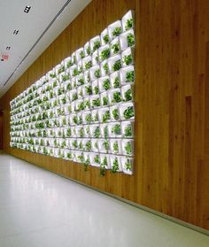 a large wall mounted planter with plants growing on it's sides in an office building