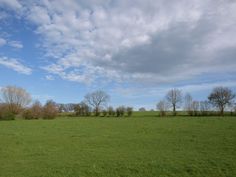 an empty field with trees in the distance