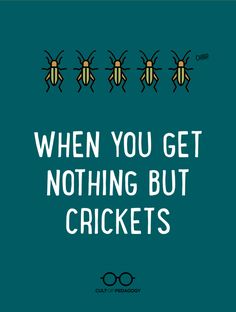 the words when you get nothing but crickets are written in white on a blue background