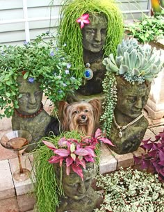 a small dog is sitting in the middle of some plants