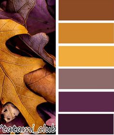 an image of autumn leaves with color swatches