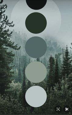 an image of trees and mountains in the background with four circles above them that represent different colors