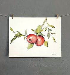 two apples are hanging on a clothes line