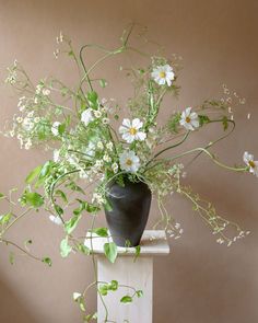 a black vase filled with white flowers sitting on top of a wooden table next to a wall