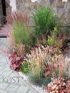 some very pretty plants by the side of a building