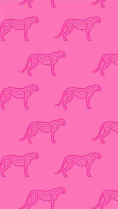 Hot Pink Tiger Wallpaper, Hot Pink Cute Wallpaper, Pink Jaguar Wallpaper, Light Pink Preppy Wallpaper, Hot Pink Ipad Wallpaper, Hot Pink Cheetah Wallpaper, Pink Backgrounds Aesthetic, Hot Pink Iphone Wallpaper, Pink Cheetah Wallpaper