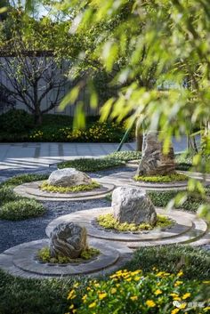 an outdoor garden with stepping stones and plants in the foreground, surrounded by yellow flowers