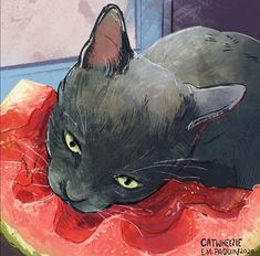 a black cat laying on top of a piece of watermelon