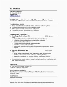 a professional resume with no work experience