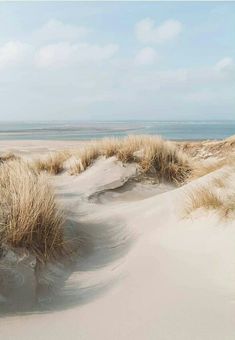 sand dunes with grass and water in the background