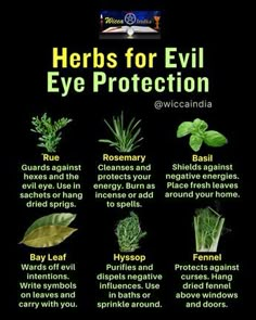 Protect yourself from the evil eye with these powerful herbs. 🌿✨ Herbs Witchcraft, Negative Vibes, Herbal Magic For Wiccans, Easy Spells