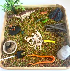 a tray filled with different types of rocks and plants on top of green grass covered ground