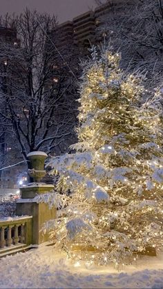 a large white christmas tree in the middle of a snowy park with lights on it