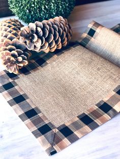 pine cones and burlock are sitting on a plaid placemat next to a potted plant