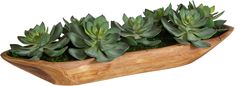 a wooden planter filled with succulents on top of a white background