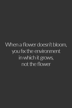 a quote that reads, when a flower doesn't bloom, you fix the environment in which it grows, not the flower