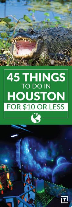 an alligator is shown with the words, 45 things to do in houston for $ 10 or less