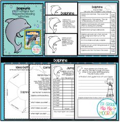 dolphins worksheet with dolphin activities