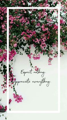 pink flowers are growing on the side of a white wall with a quote about expect nothing, appreciate everything