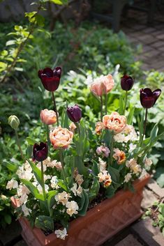 a potted planter filled with lots of flowers