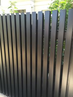 a cat sitting on the ground in front of a black fence with vertical slats