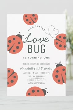 a card with ladybugs on it that says, our little love bug is turning one