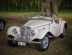 an old white car parked next to a green car in the grass with trees behind it