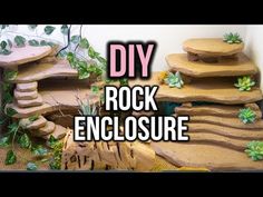 some rocks and plants in a room with the words diy rock enclosure