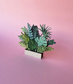 a plant in a pot on a pink background with some green leaves and other plants