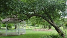 a white gazebo sitting in the middle of a lush green park