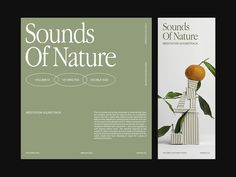 the cover of sounds of nature magazine with an orange on top and another book in front