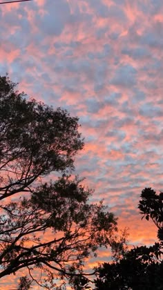 the sky is pink and blue with clouds in it at sunset or dawn, as seen from behind some trees