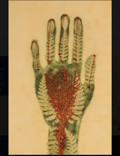 an image of a hand that is made out of leaves and branches with red thread on it