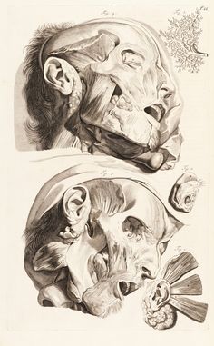 two drawings of men's heads with different facial expressions, one in black and white