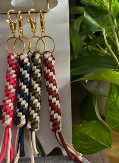 four different colored key chains hanging from hooks on a wall next to a potted plant