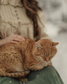 an orange cat sitting on the back of a woman's shoulder while she sleeps