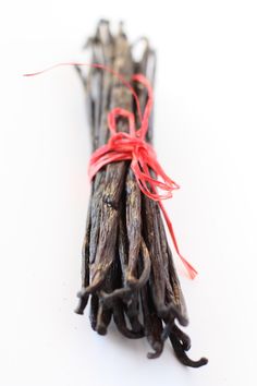 Vanilla Aphrodisiac Foods, Perfume Recipes, Fragrance Ingredients, Vanilla Fragrance, Aromatic Herbs, Spices And Herbs, Vintage Perfume, Favorite Scents, Creative Food