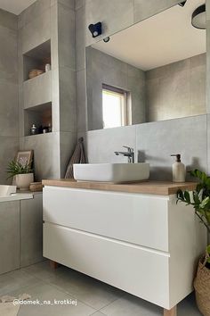 a bathroom with a sink, mirror and plant in the corner on the counter top