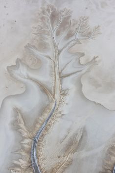 an aerial view of a river running through the desert with trees growing out of it