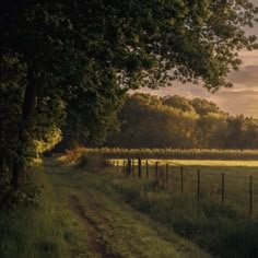 the sun shines through the trees on this rural country road near a fenced in field