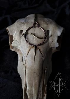 an animal's skull with a ring hanging from it's neck and horns