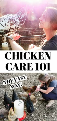 a woman feeding chickens on the farm with text overlay that reads chicken care 101 the easy way