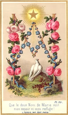 an old postcard with flowers and a bird on the top, in front of a star