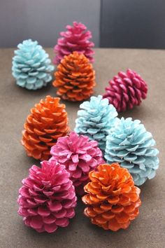 several different colored pine cones sitting on top of a table