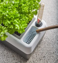 a planter filled with lots of green plants