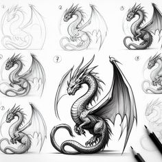 some drawings of different types of dragon