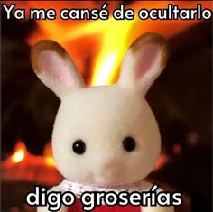 a white stuffed animal sitting in front of a fire with the caption, ya me can be de cultaroo digo grosserias