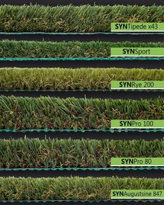 several rows of artificial grass with different types and sizes in each row, labeled synspore