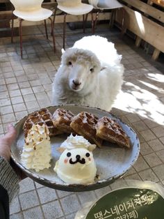 a person holding a plate with some food on it and a sheep in the background