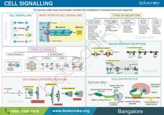 the cell signaling poster is shown